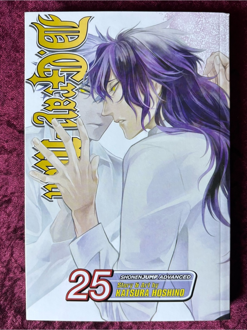 D.Gray-man Volume 25 Manga